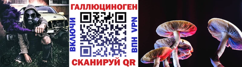 blacksprut как зайти  Чегем  Псилоцибиновые грибы ЛСД 
